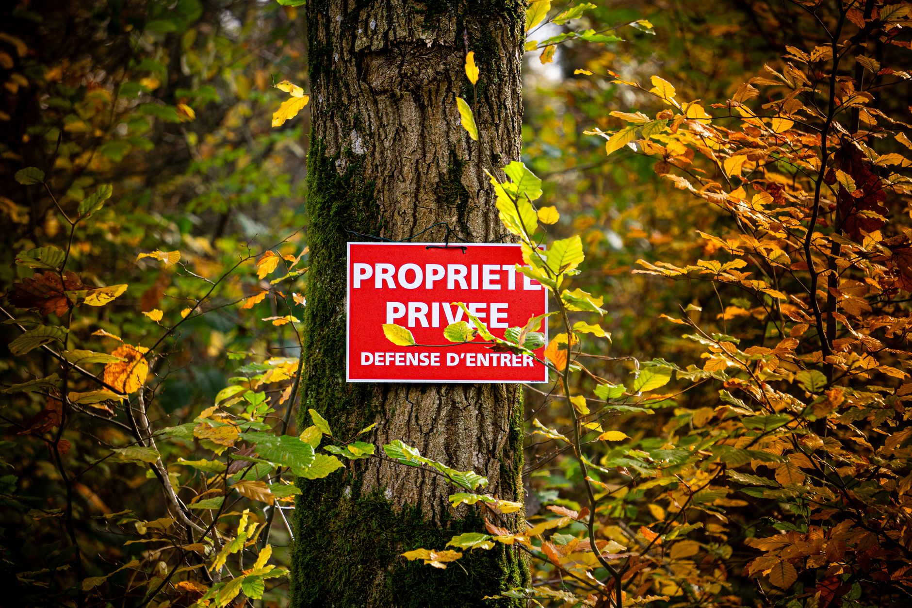 Détective privé à Versailles
